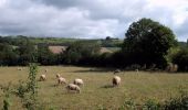 Tour Mountainbike Licques - VTT La Licquoise 2011 - Licques - Photo 1