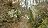 Tocht Stappen Bertrix - IR-221 Variante - La vallée des Munos et la voie des pierres qui parlent Rando au pays des scailtons entre forêt, rivière et pierre - Photo 3
