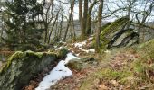 Tocht Stappen Bertrix - IR-221 Variante - La vallée des Munos et la voie des pierres qui parlent Rando au pays des scailtons entre forêt, rivière et pierre - Photo 1