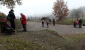 Trail Walking Aspach-Michelbach - 18.11.15.AspachHt.Bourbach - Photo 2