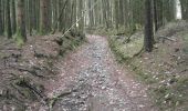 Trail Walking Les Mazures - Le tour des roches de l'empereur Les Mazures - Photo 1