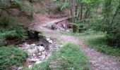 Tour Wandern Castans - Boucle des ruisseaux - Castans - Photo 2