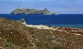 Randonnée Marche Tomino - Au bout du Cap Corse - Photo 5