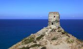 Tocht Stappen Tomino - Au bout du Cap Corse - Photo 4