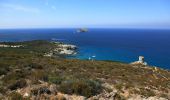 Excursión Senderismo Tomino - Au bout du Cap Corse - Photo 3