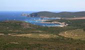 Excursión Senderismo Tomino - Au bout du Cap Corse - Photo 2
