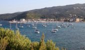Tocht Stappen Tomino - Au bout du Cap Corse - Photo 1