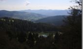 Trail Walking Soultzeren - Tour des Lacs - La Bresse - Photo 6