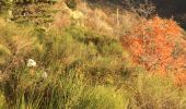 Tour Wandern Bézaudun-sur-Bîne - le Pradou - Photo 3