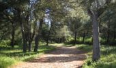 Tocht Stappen Villetelle - Grande Traversée de l'Hérault à VTT - De Ambrussum à Fondespierre - Photo 3