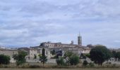 Tocht Stappen Villetelle - Grande Traversée de l'Hérault à VTT - De Ambrussum à Fondespierre - Photo 2