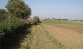 Trail Walking Mons-en-Pévèle - Autour du château d'Assignies à Tourmignies - Mons-en-Pévèle - Photo 6