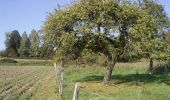 Randonnée Marche Mons-en-Pévèle - Autour des Voyettes - Mons-en-Pévèle - Photo 5