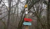 Trail Walking Charbonnières-les-Varennes - Paugnat-Tournoel-Paugnat - Photo 11