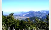 Randonnée Course à pied Sisteron - Crête de Chapage - Sisteron - Photo 1
