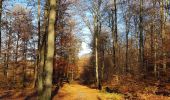 Trail Walking Marche-en-Famenne - verdenne - menile  - Photo 7