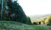 Tocht Mountainbike Laprugne - Rando VTT des Monts de la Madeleine - La Loge des Gardes - Photo 6