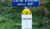 Percorso Mountainbike Arcinges - 1ère Randonnée VTT en Pays de Belmont de la Loire - Arcinges - Photo 5