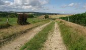 Trail Walking Grandcourt - L'Arbre de la Bonne Entente - Grandcourt - Photo 1