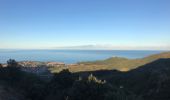 Randonnée Marche Collioure - au fil de l'eau Collioure - Photo 1