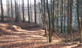 Trail Nordic walking Sprimont - Banneux_18_11_2018 - Photo 15