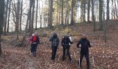 Tour Nordic Walking Sprimont - Banneux_18_11_2018 - Photo 14