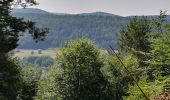 Randonnée Marche Wingen-sur-Moder - Boucle de 2 jours Sur les traces des verriers et des sabotiers  - Photo 10