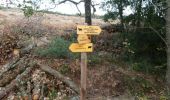 Trail Walking Caunes-Minervois - Le chemin du facteur et des moutons - Caunes - Photo 4