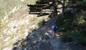 Randonnée Marche Riols - Le sentier des mille marche et le tour du lac de Vézoles - Saint Pons - Photo 4