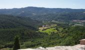 Trail Walking Beynes - Boucle de Palus - Beynes - Photo 3