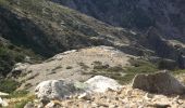 Trail Walking Corte - Monte Cardo via Furmicuccia - Photo 3