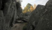 Trail Walking Fontainebleau - Apremont et Franchard - Forêt de Fontainebleau - Photo 2
