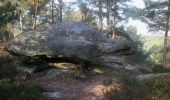 Tocht Stappen Fontainebleau - Apremont et Franchard - Forêt de Fontainebleau - Photo 3