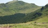 Trail Walking Le Fau - Crêtes entre Salers et Mandailles : du Puy Chavaroche au Puy Violent. - Photo 3