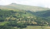 Randonnée Marche Le Fau - Crêtes entre Salers et Mandailles : du Puy Chavaroche au Puy Violent. - Photo 1