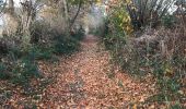 Trail Walking Hédé-Bazouges - 20.11.2018 - HEDE nord à ST Symphorien  - Photo 14