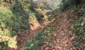 Trail Walking Hédé-Bazouges - 20.11.2018 - HEDE nord à ST Symphorien  - Photo 4