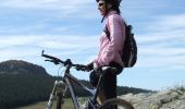 Percorso Mountainbike Fay-sur-Lignon - Site VTT FFC du Mézenc et de la Loire sauvage - Circuit n° 08 - A la conquête des grands espaces  - Photo 4