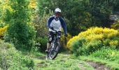 Tour Mountainbike Fay-sur-Lignon - Site VTT FFC du Mézenc et de la Loire sauvage - Circuit n° 08 - A la conquête des grands espaces  - Photo 3