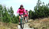Excursión Bici de montaña Fay-sur-Lignon - Site VTT FFC du Mézenc et de la Loire sauvage - Circuit n° 10 - Au son de la lauze et au souffle du vent  - Photo 2