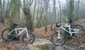 Trail Mountain bike Orliénas - Orlienas et ses Communes voisines - Photo 1