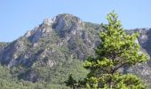 Excursión Senderismo Bourdeaux - Sur les Pas des Huguenots  -  Bourdeaux - La Chaudiére - Photo 3