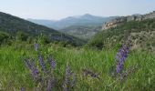 Tour Wandern Bourdeaux - Sur les Pas des Huguenots  -  Bourdeaux - La Chaudiére - Photo 1