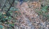 Trail Mountain bike Simandres - Simandres - Communay la Châtaigneraie - Chaponnay - Photo 2