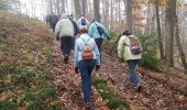 Trail Walking Coignières - Val Favry 22/11/2018 - Photo 4