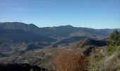 Excursión Carrera Noyers-sur-Jabron -  Crête de l'Ane - Saint Martin - Photo 6