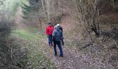 Trail Walking Malmedy - bernister - Photo 15