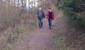 Trail Walking Malmedy - bernister - Photo 9