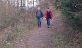 Tocht Stappen Malmedy - bernister - Photo 9