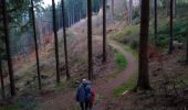 Trail Walking Malmedy - bernister - Photo 3